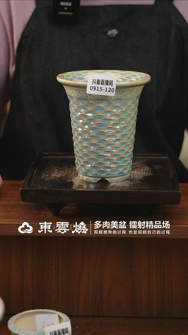 0915-120D万象内口8