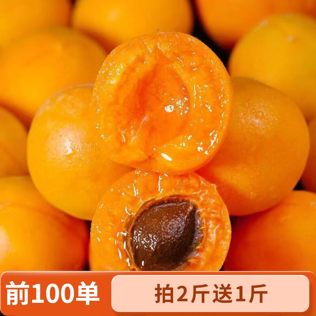 新疆吊干杏g新疆维吾尔自治区