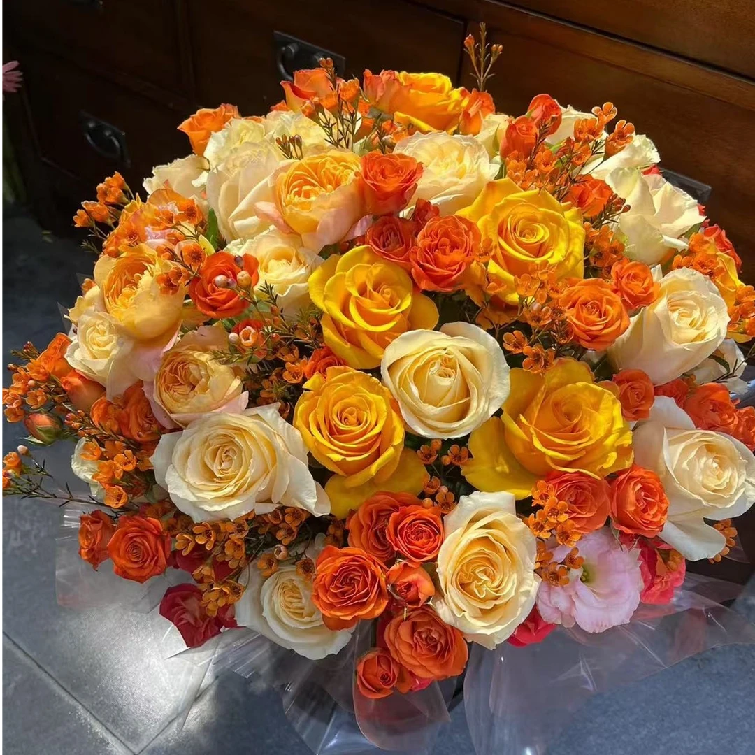 【橙芭比&香槟】 北方玫瑰花期持久