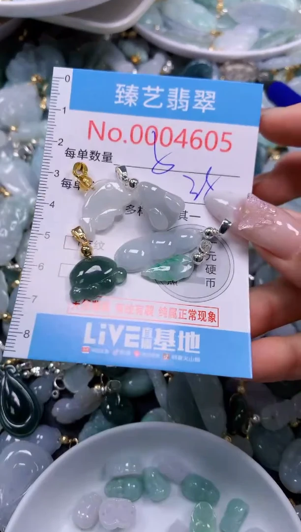 翡翠未镶嵌颈饰4605