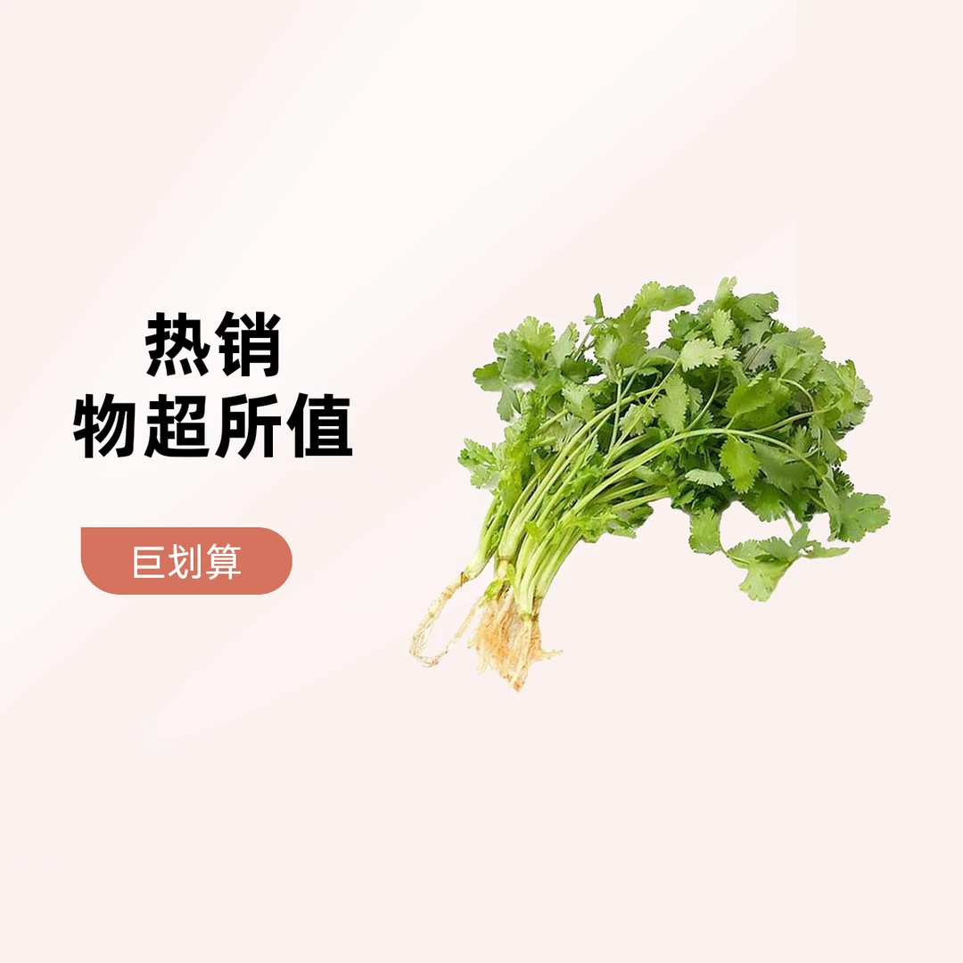 【A63】新鲜香菜（100g±10g）