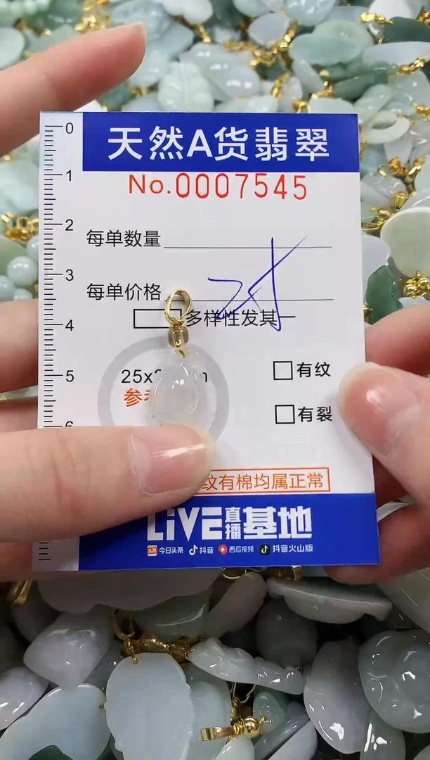 颈饰未镶嵌翡翠纯天然a货翡翠