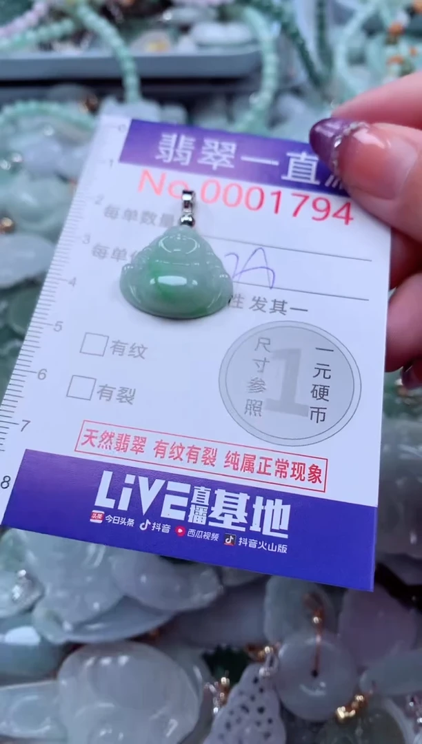 翡翠未镶嵌吊坠(不含链)1794