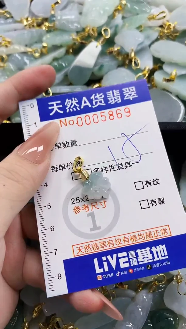 颈饰未镶嵌翡翠天然A货翡翠