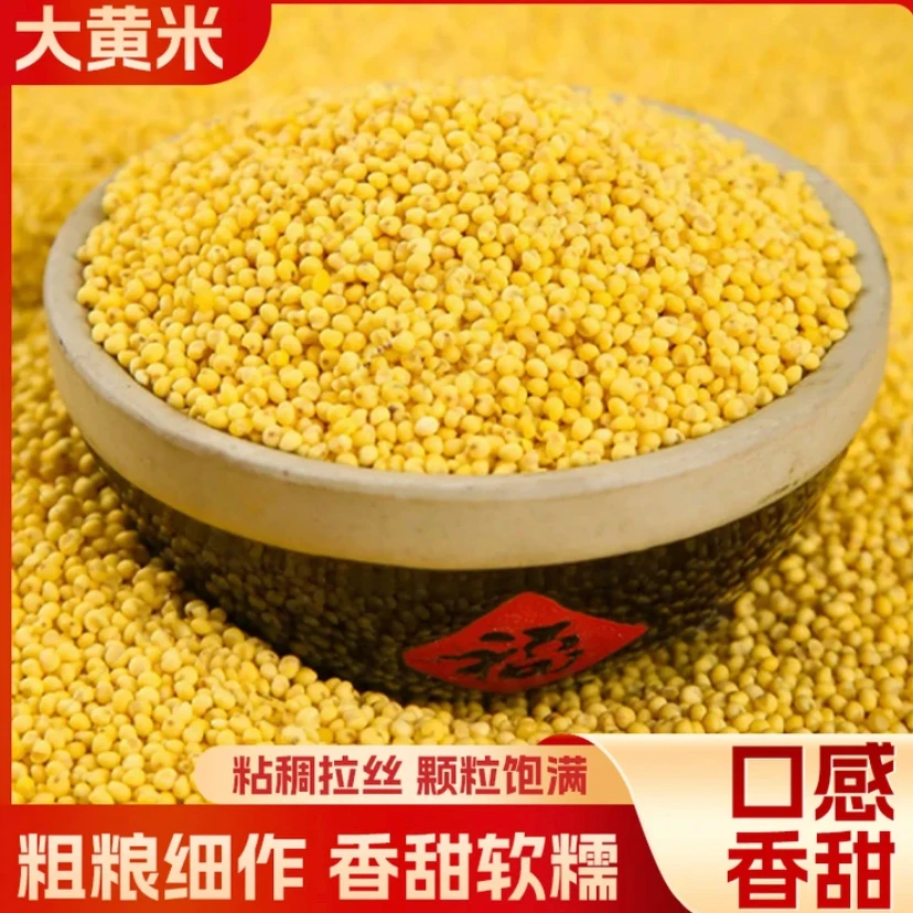 【新货上市！】东北大黄米 软糯香甜 口感细腻 煮饭煲粥250g/袋