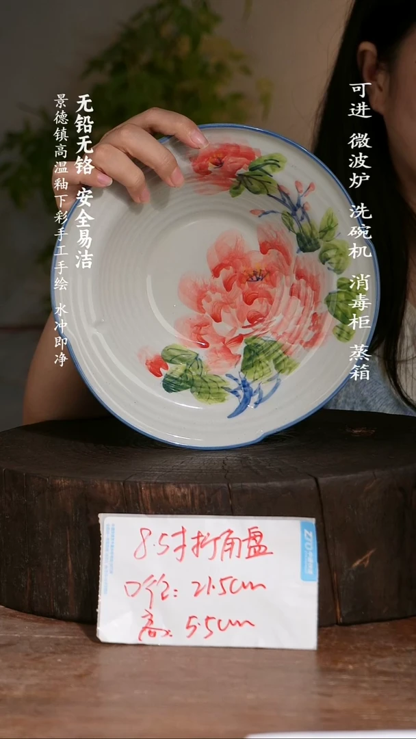 碗陶瓷景德镇高温瓷釉下彩手绘陶瓷