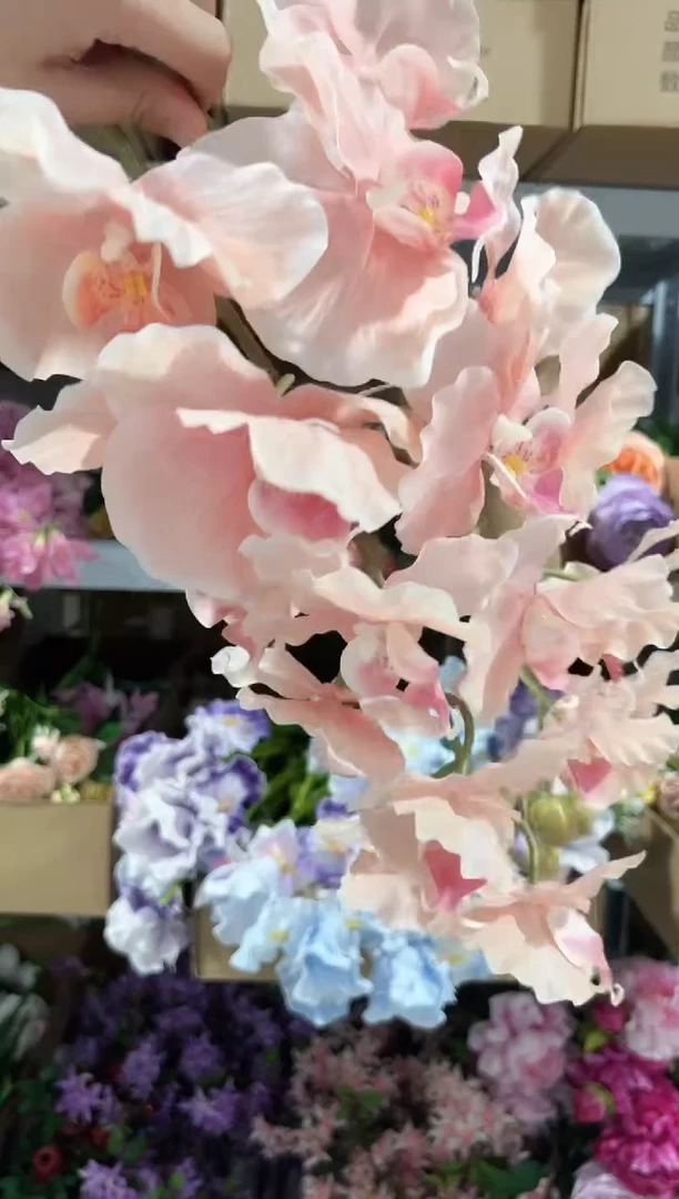 2枝粉色9头蝴蝶兰