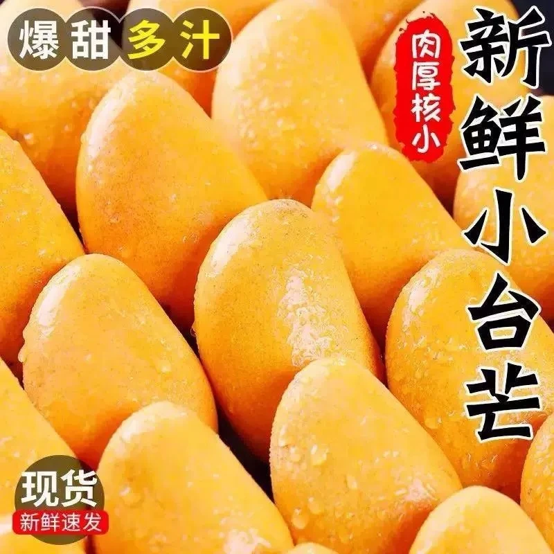 广西百色当季新鲜现摘现发小台农芒果皮薄肉厚香甜多汁整箱水果