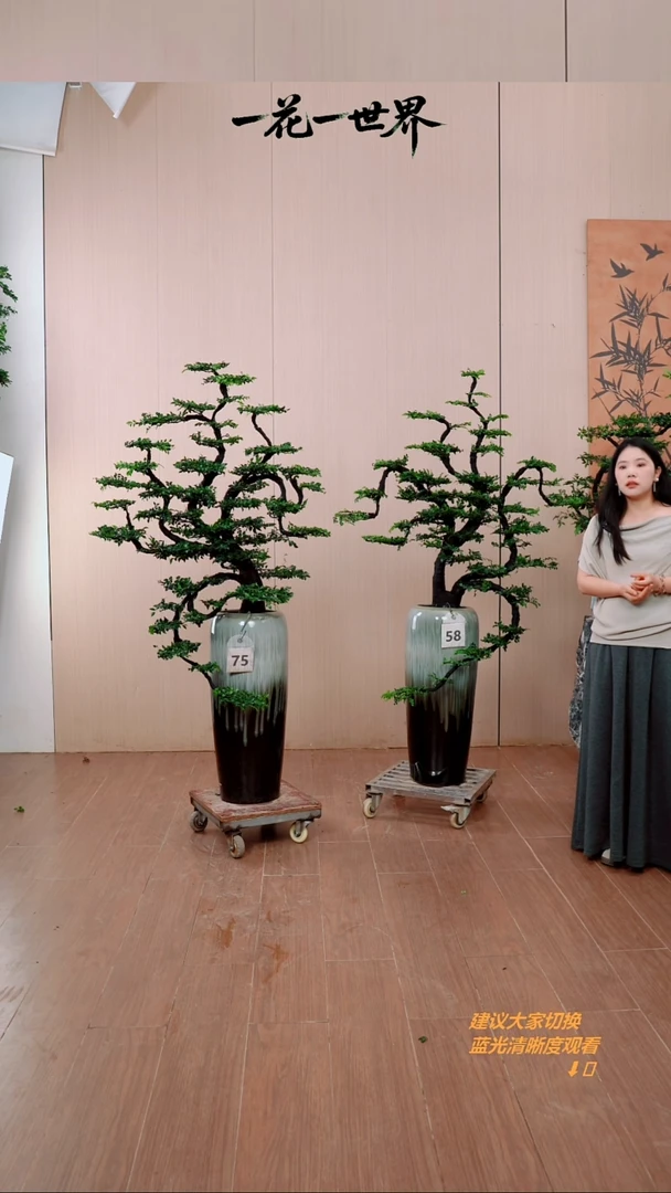 无花朵L****s58号链接