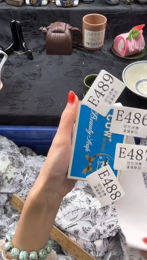 瓷片康*       E488