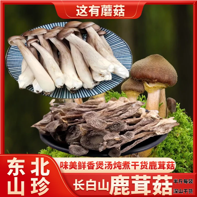 【东北长白山鹿茸菇（干货）】爽滑味好炖煮炒菜凉拌农家食材