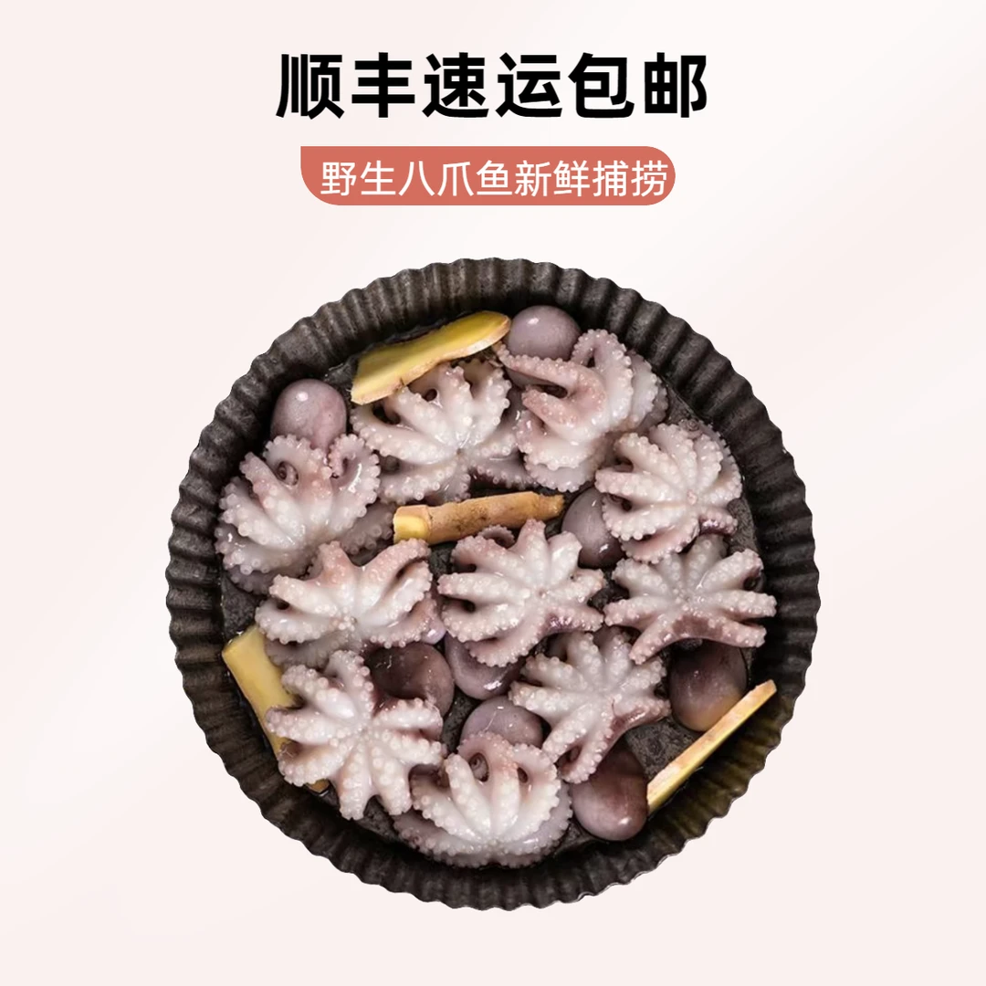 野生八爪鱼小章鱼新鲜章鱼海鲜迷你小章鱼顺丰包邮八爪鱼