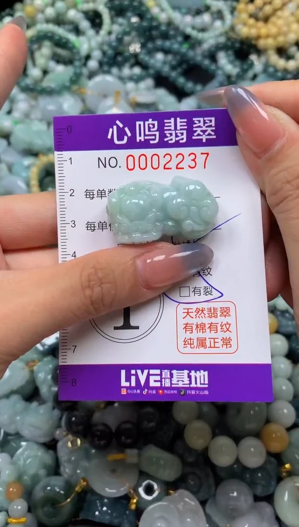 颈饰未镶嵌翡翠闪购002237