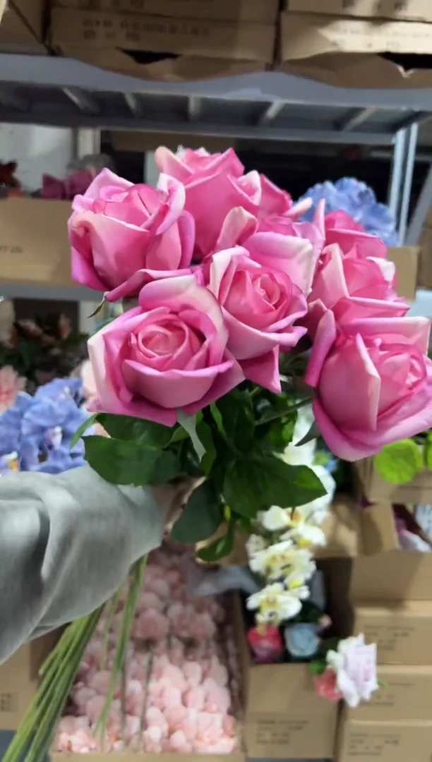 10枝玫粉手感保湿双子座