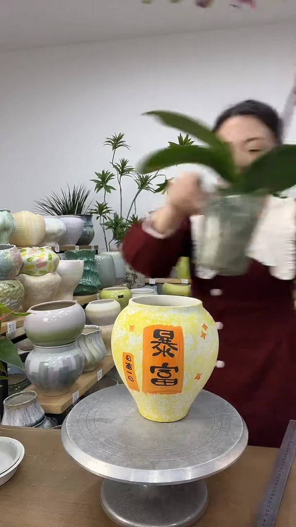 11.15陶瓷花盆直播链接高.    20  口11