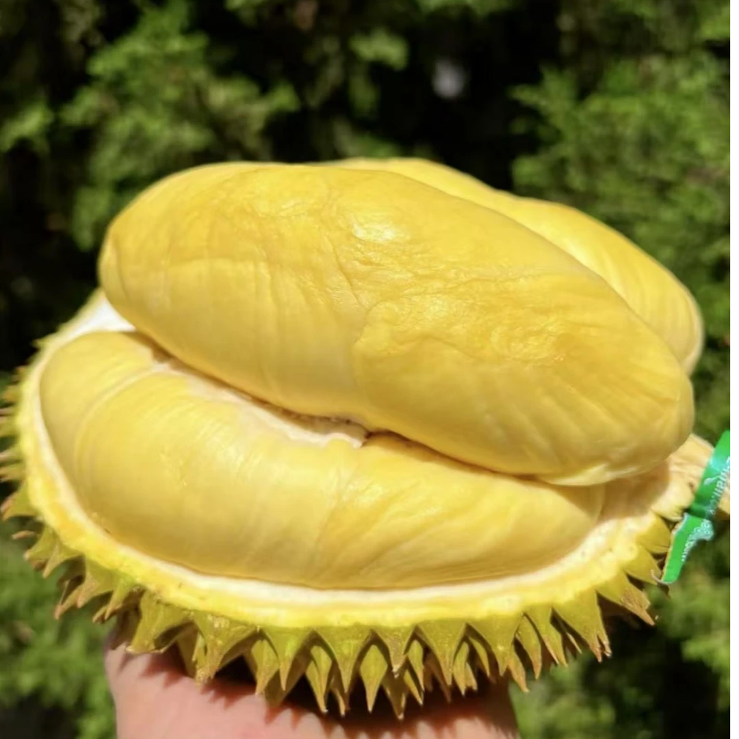 【小时达】一物一拍，新鲜空运泰国树熟金枕榴莲鲜果整果榴莲核小同城一果一重送多规格榴莲同城配金枕泰国