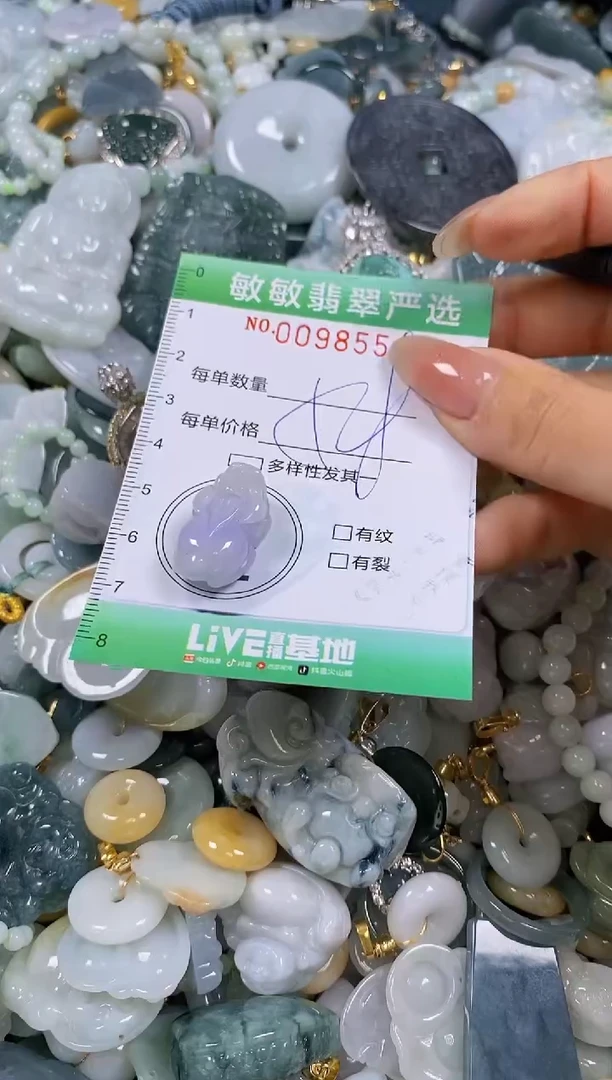 【闪购商品】翡翠颈饰未镶嵌闪购0098559