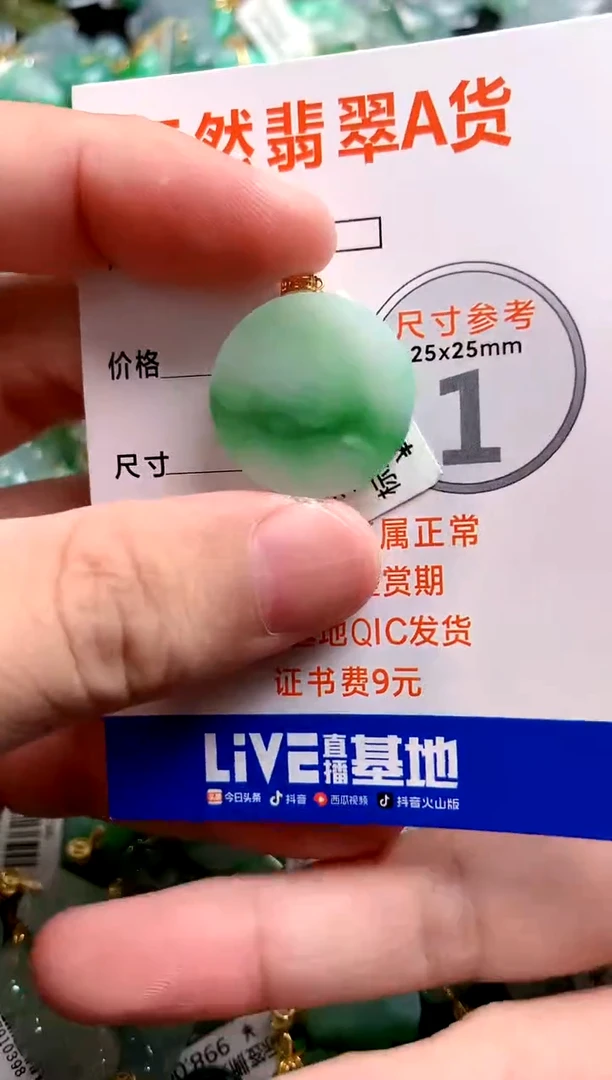 颈饰18K金镶嵌翡翠0567087311