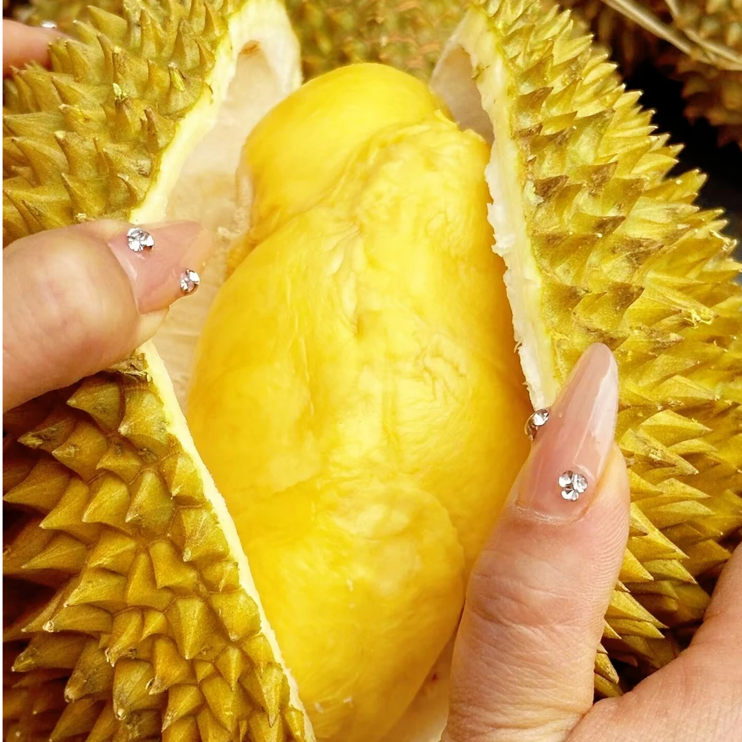 1号金凤一号【新鲜金枕榴莲核小】（一果一拍2.5kg）湛江同城配送金枕泰国
