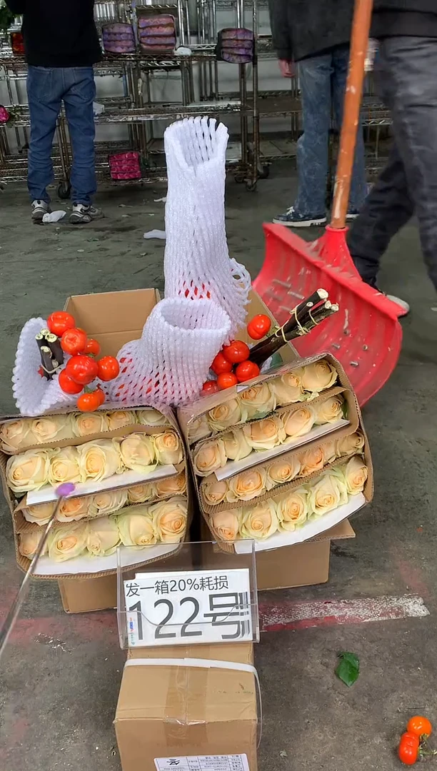 122号♥中通含20%耗损发一箱