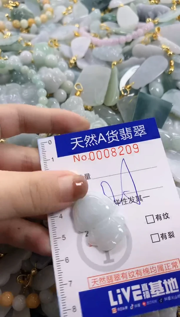 颈饰未镶嵌翡翠天然A货翡翠