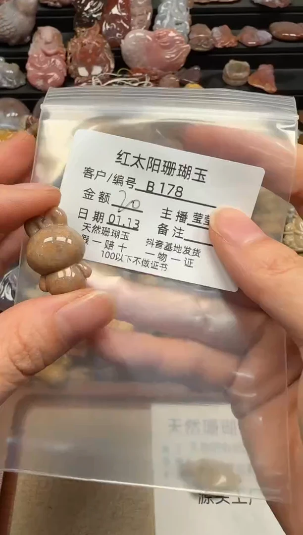 【闪购商品】硅化珊瑚（珊瑚玉）颈饰未镶嵌178
