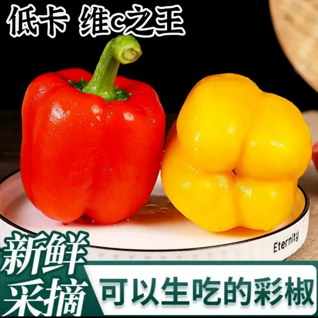 【现摘现发】山东寿光五彩椒维生素C之王脆甜多汁生吃不辣