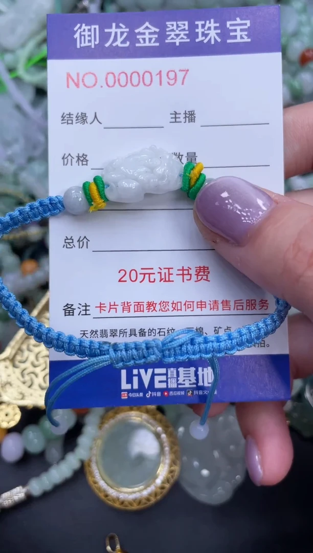 翡翠未镶嵌颈饰057