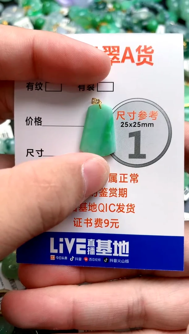 颈饰18K金镶嵌翡翠0581345018