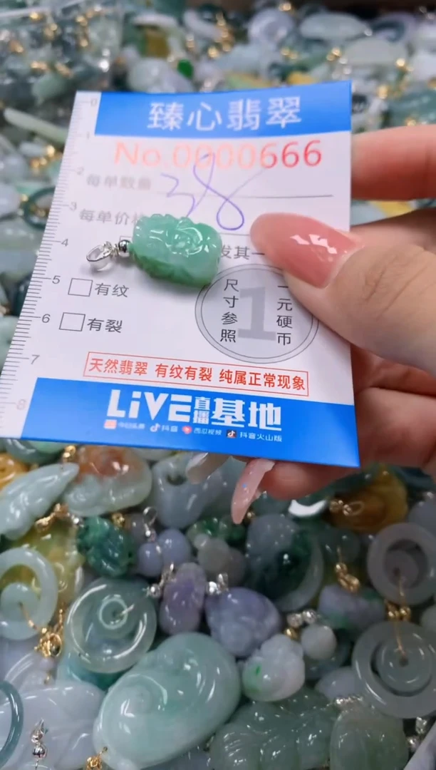 翡翠未镶嵌颈饰666