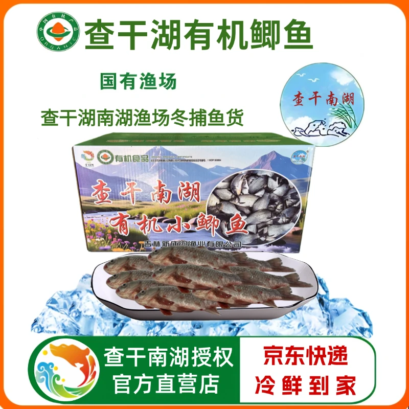 查干湖有机小鲫鱼带箱10斤 渔场直发甄选年货