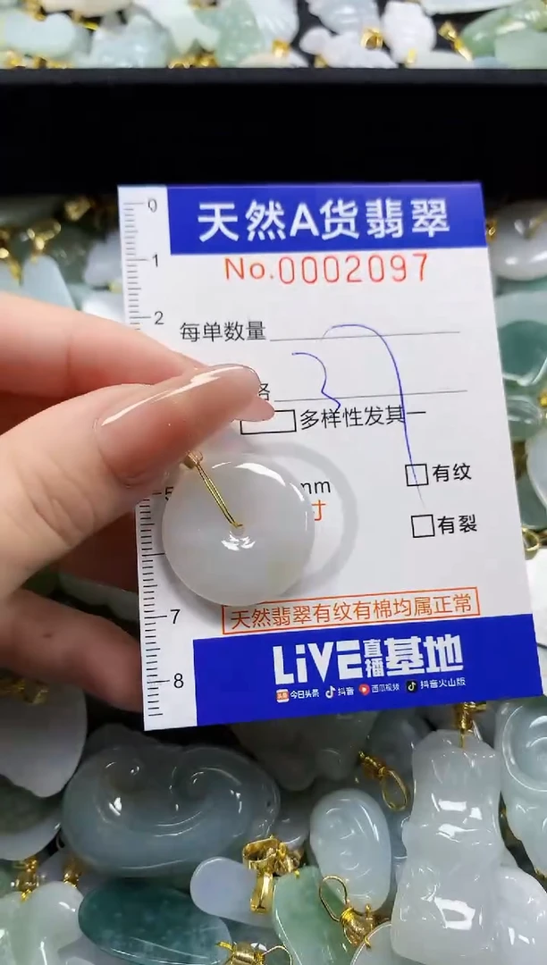 颈饰未镶嵌翡翠天然A货翡翠