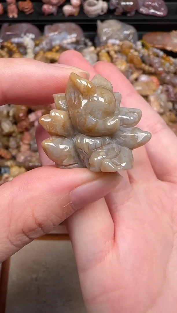 颈饰未镶嵌硅化珊瑚（珊瑚玉）463