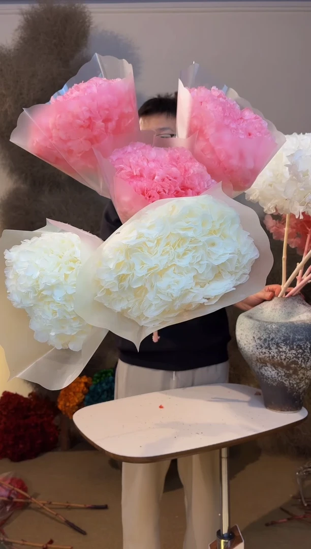 219  山前小麦 · 永生大叶绣球5枝 粉3白2