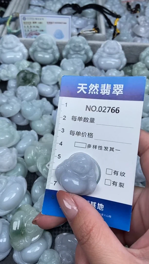 颈饰未镶嵌翡翠纯天然A货翡翠2766