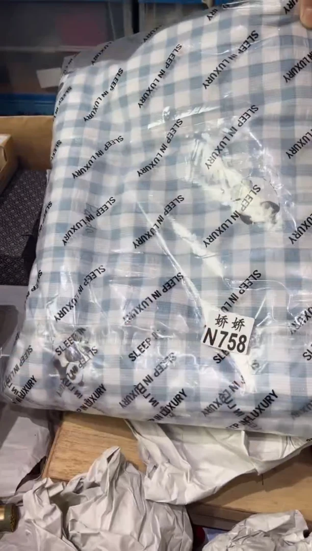 瓷片兰*758定向 兰朵定向 兰朵