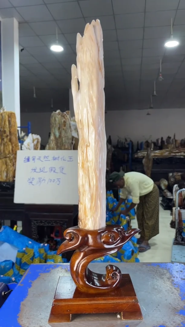 未镶嵌摆件硅化玉46