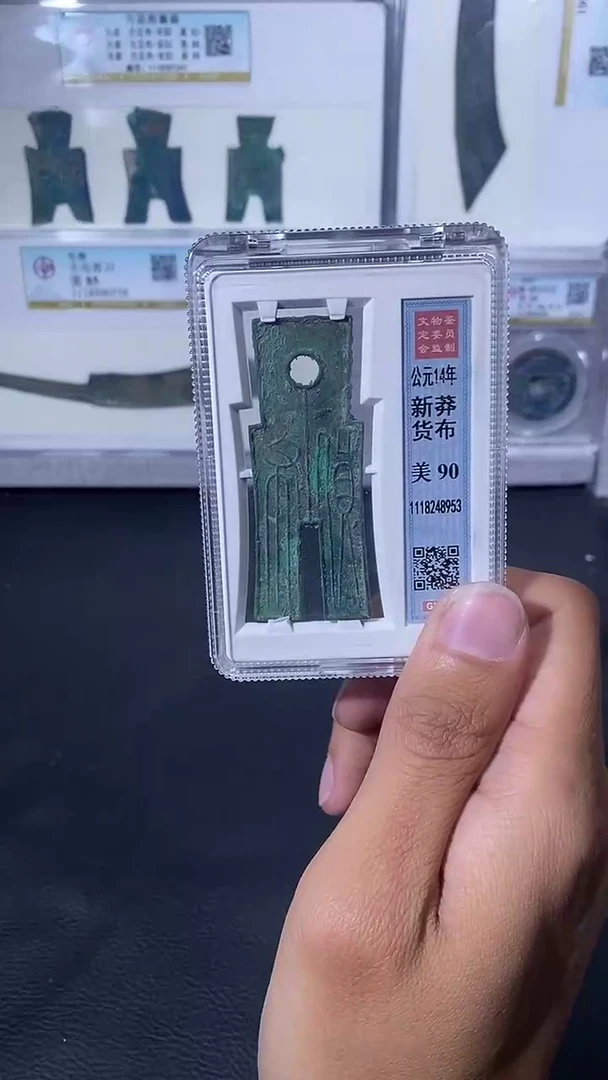 【闪购商品】金琪珍新莽货布一枚