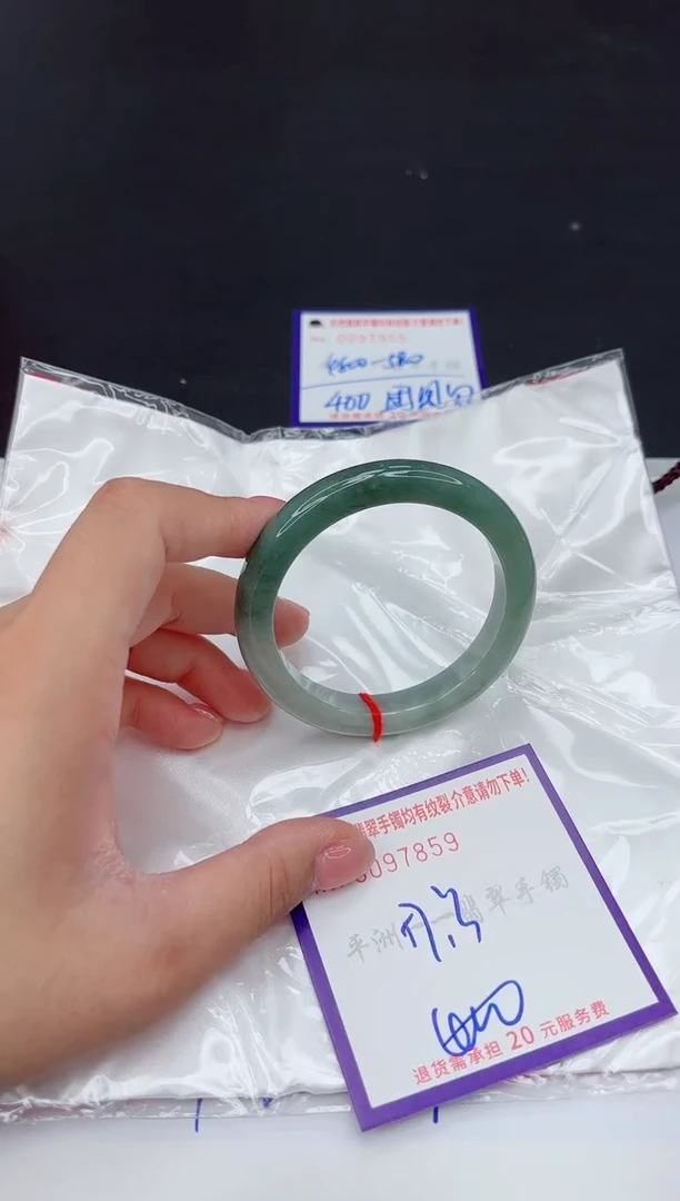 未镶嵌手镯翡翠1