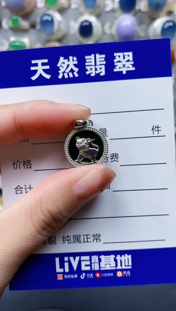 翡翠银S925镶嵌颈饰623