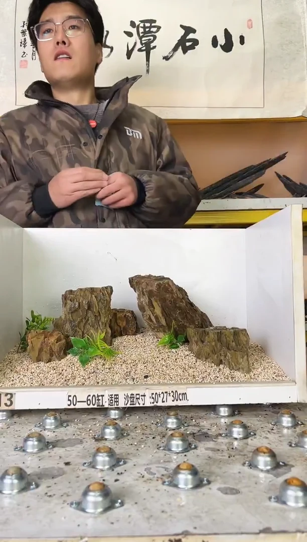 266   小石潭造景带编号不含底沙沙盘