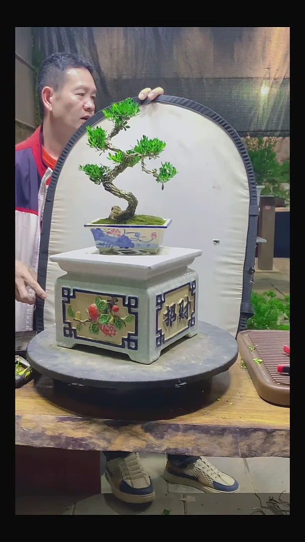 完全开放阿*111111111111