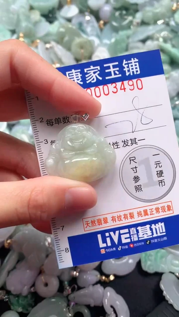 颈饰未镶嵌翡翠3490