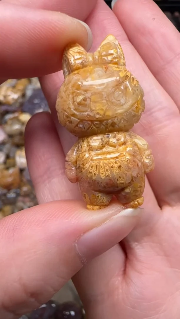 硅化珊瑚（珊瑚玉）未镶嵌颈饰499