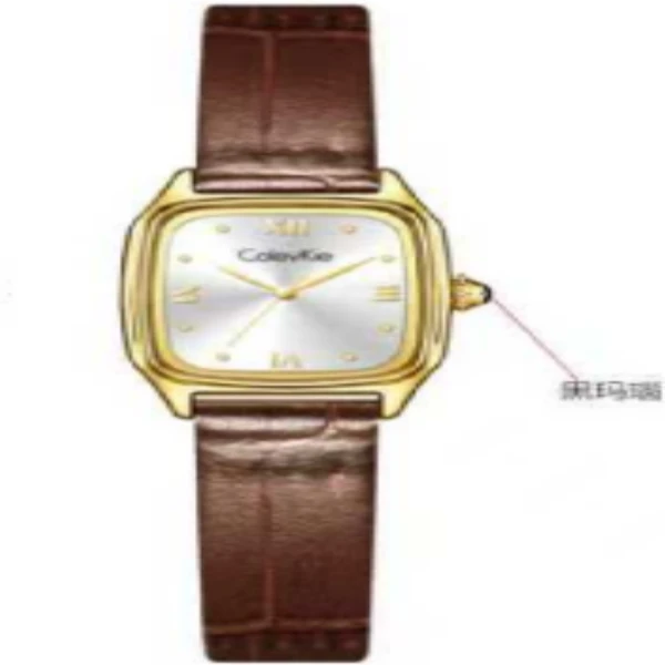 Colevkie新款小方表女士手表韩版小众轻奢高级感复古小巧腕表5067