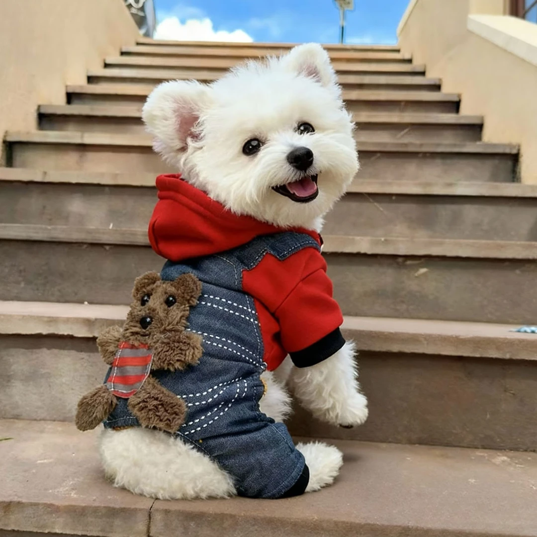 狗狗衣服秋冬加厚保暖宠物四脚衣适合泰迪比熊博美等小型宠物猫咪