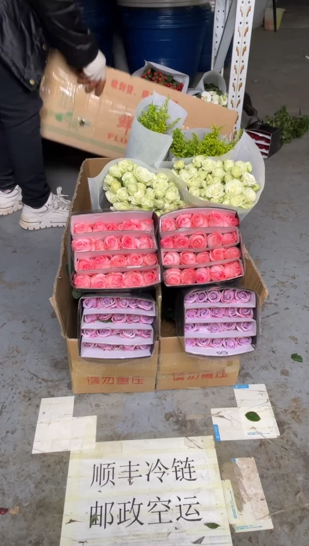 戴安娜20枝+海洋之歌20枝+繁星10枝+黄莺