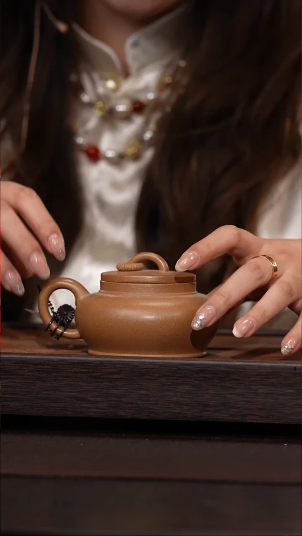 茶壶紫砂原矿紫砂单圈 190CC