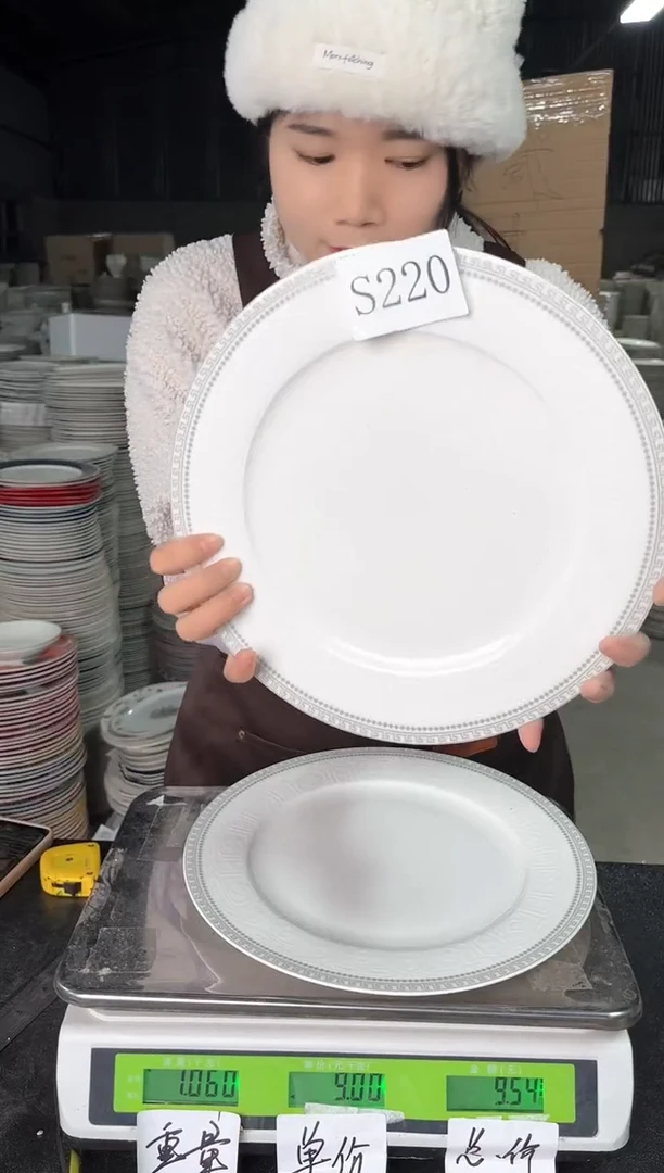 【闪购商品】瓷S220  10.5寸  2个