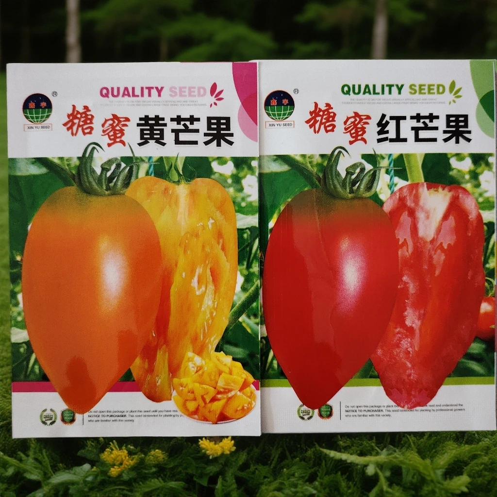 糖蜜芒果柿子种子100粒左右